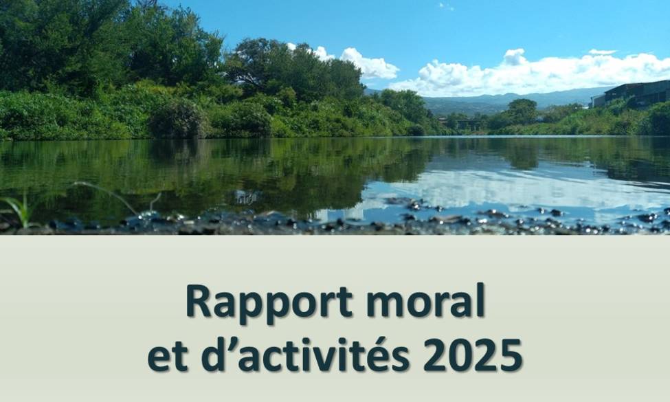 Bilan des activités 2025