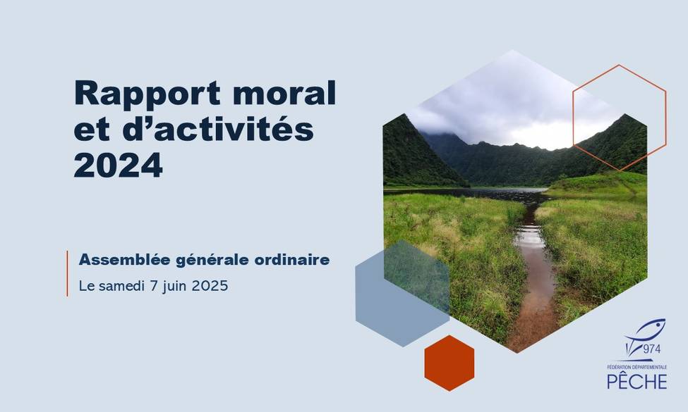 Bilan des activités 2024