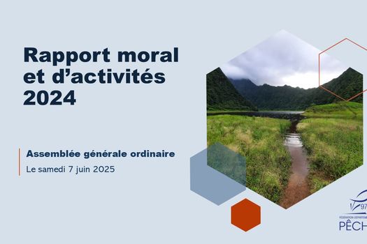Bilan des activités 2024