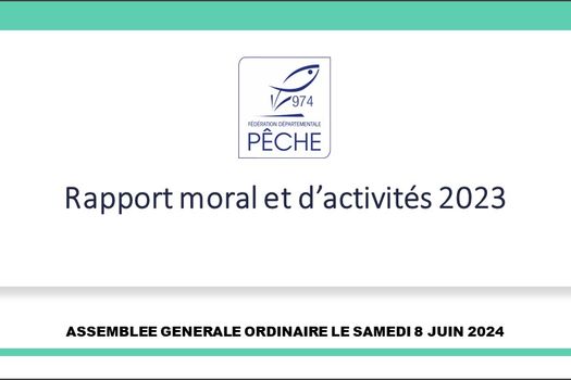 Bilan des activités 2023